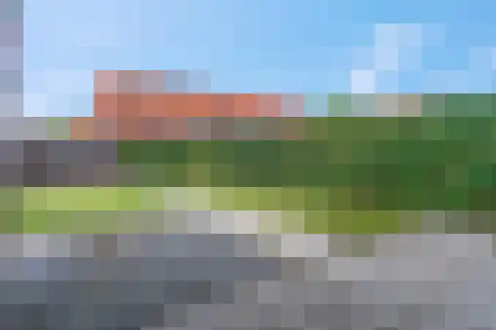 Maagd 15 Elst thumbnail 27