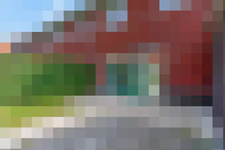 Maagd 15 Elst thumbnail 28