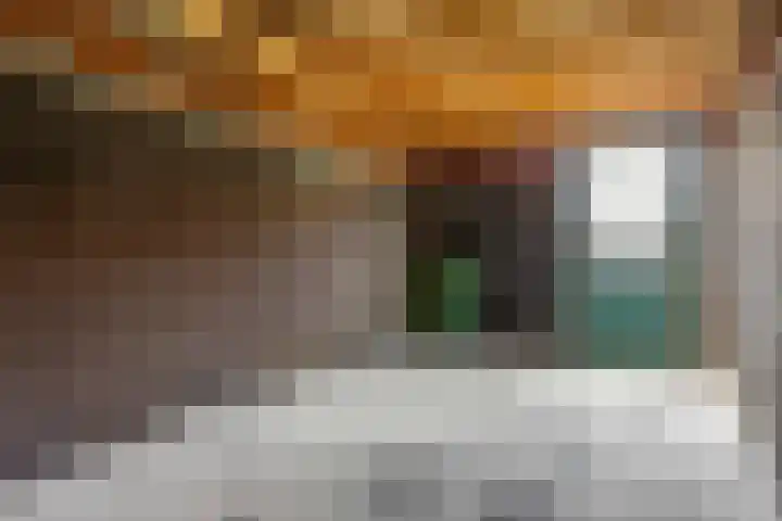 Maagd 15 Elst thumbnail 29