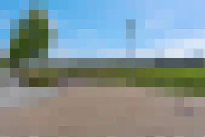Maagd 15 Elst thumbnail 34