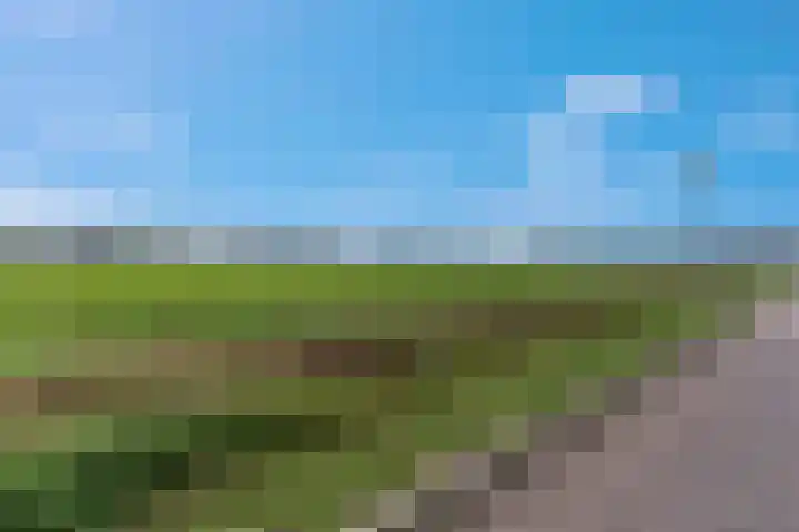Maagd 15 Elst thumbnail 35