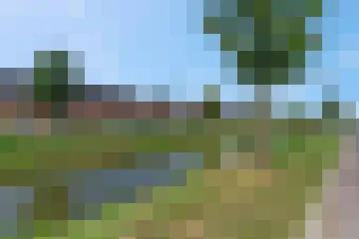 Maagd 15 Elst thumbnail 36