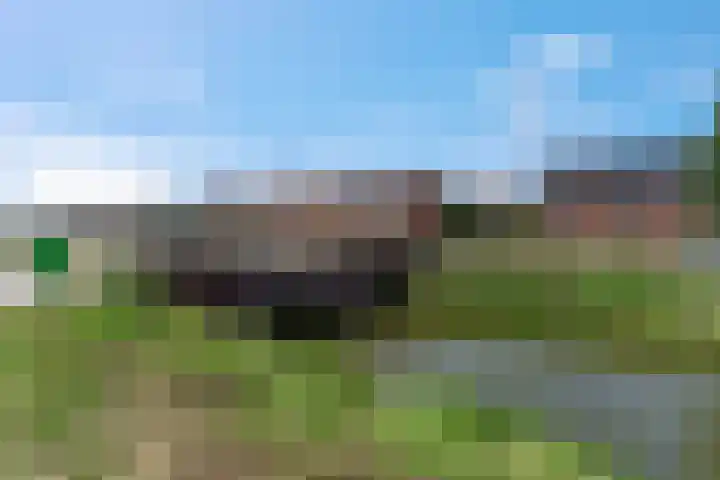 Maagd 15 Elst thumbnail 37