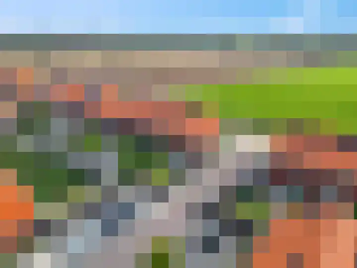 Maagd 15 Elst thumbnail 39