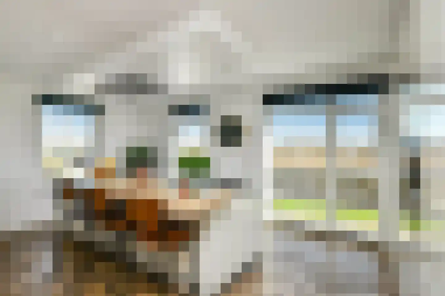 Maagd 29 Elst thumbnail 10