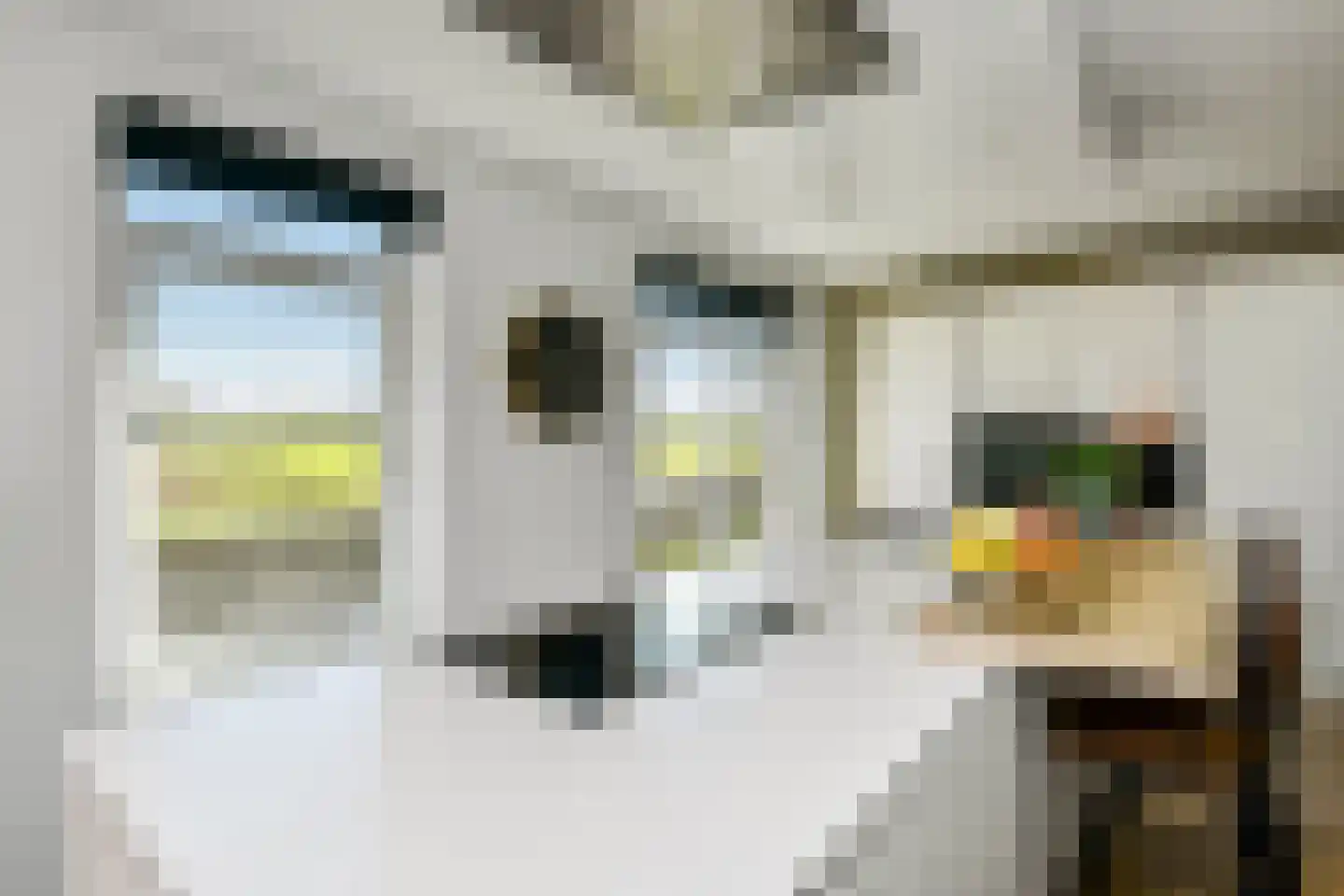 Maagd 29 Elst thumbnail 12