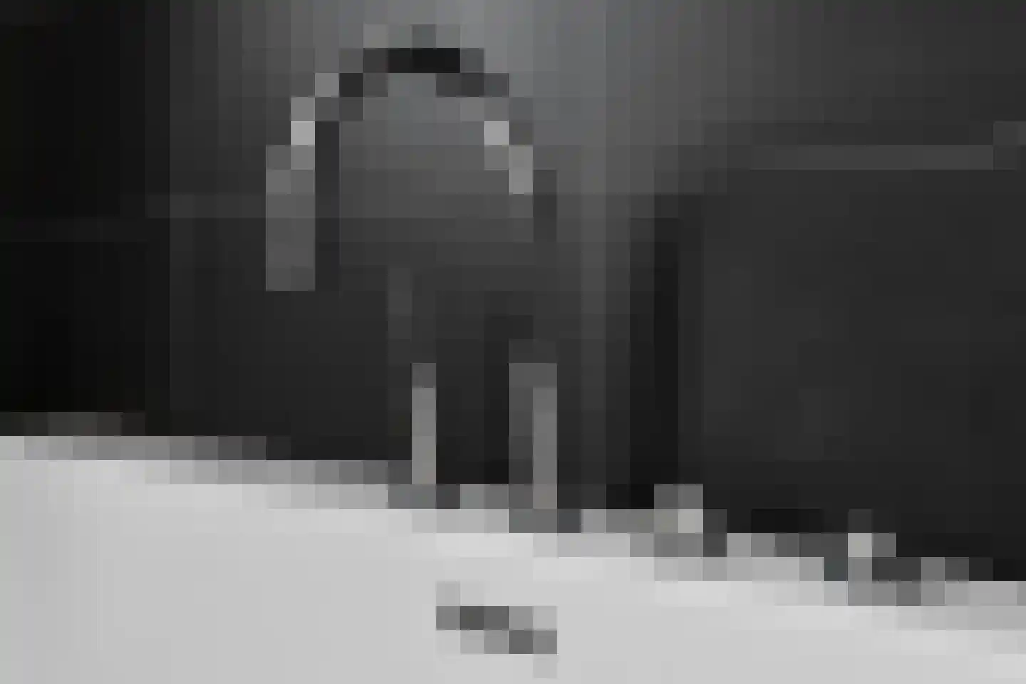 Maagd 29 Elst thumbnail 30