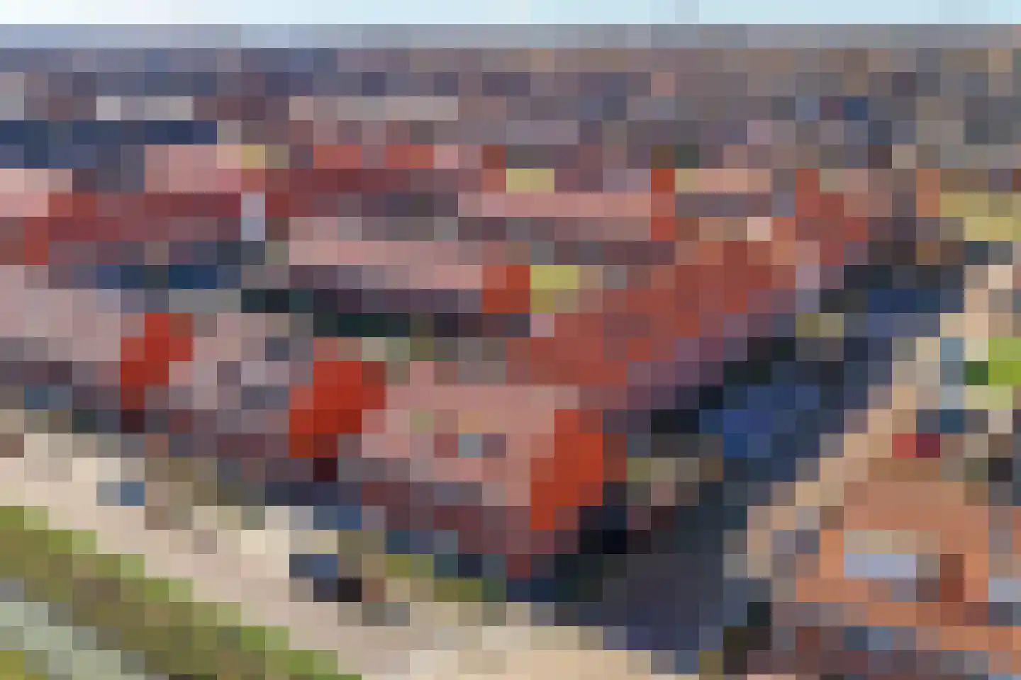 Maagd 29 Elst thumbnail 4