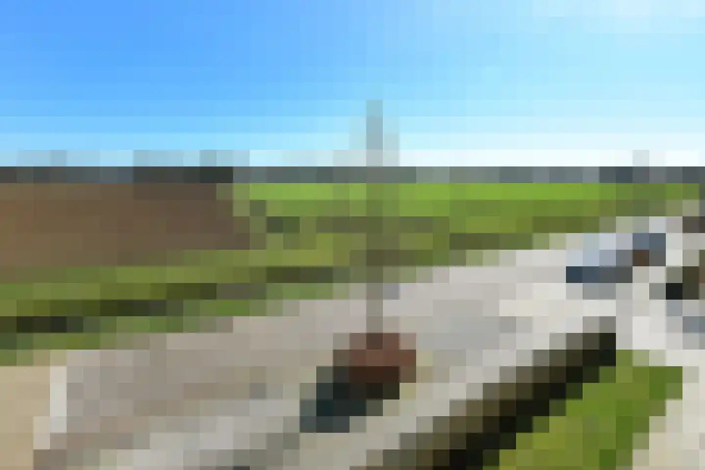 Maagd 29 Elst thumbnail 5