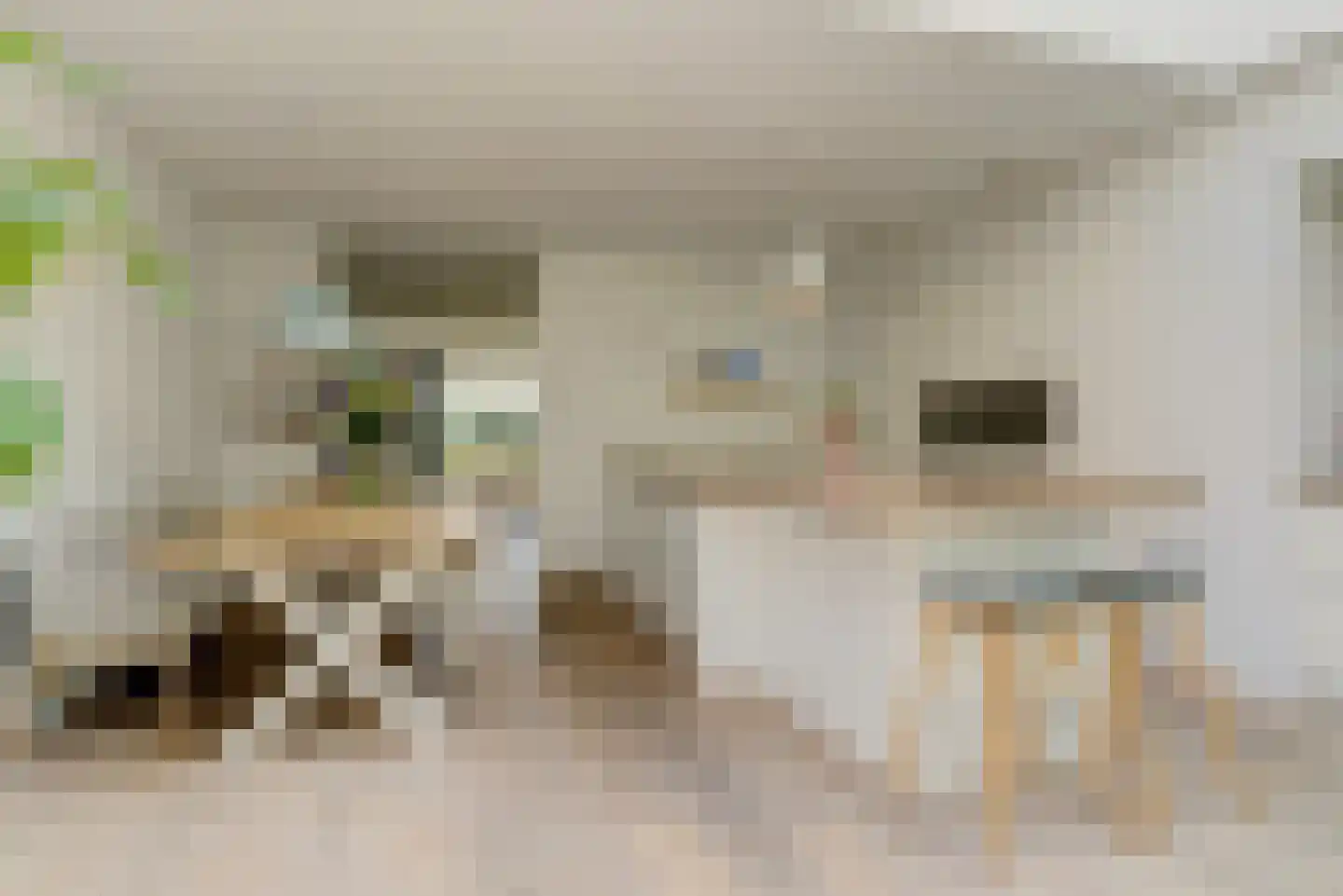 Maagd 39 Elst thumbnail 11