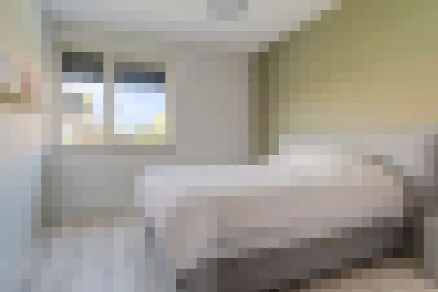 Maagd 39 Elst thumbnail 20