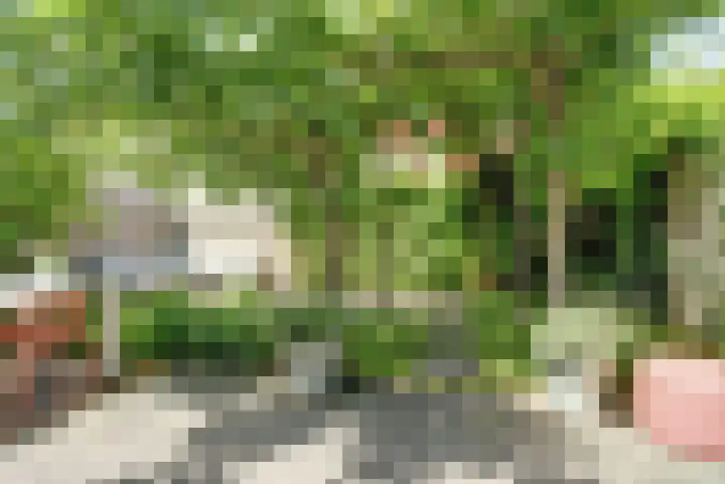 Maagd 39 Elst thumbnail 31