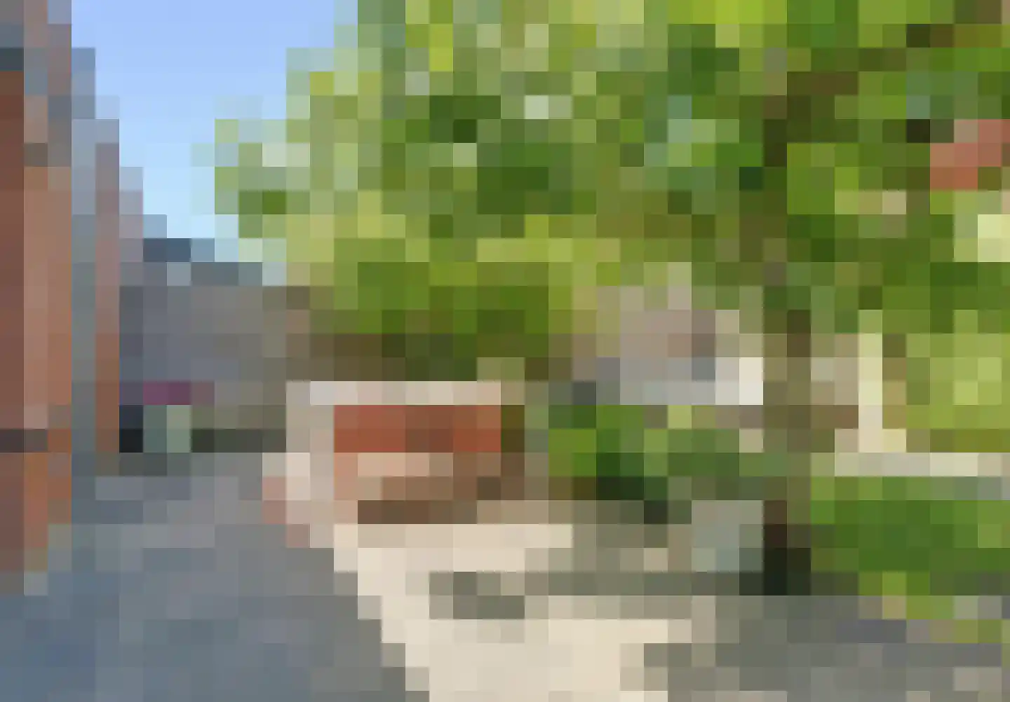 Maagd 39 Elst thumbnail 32