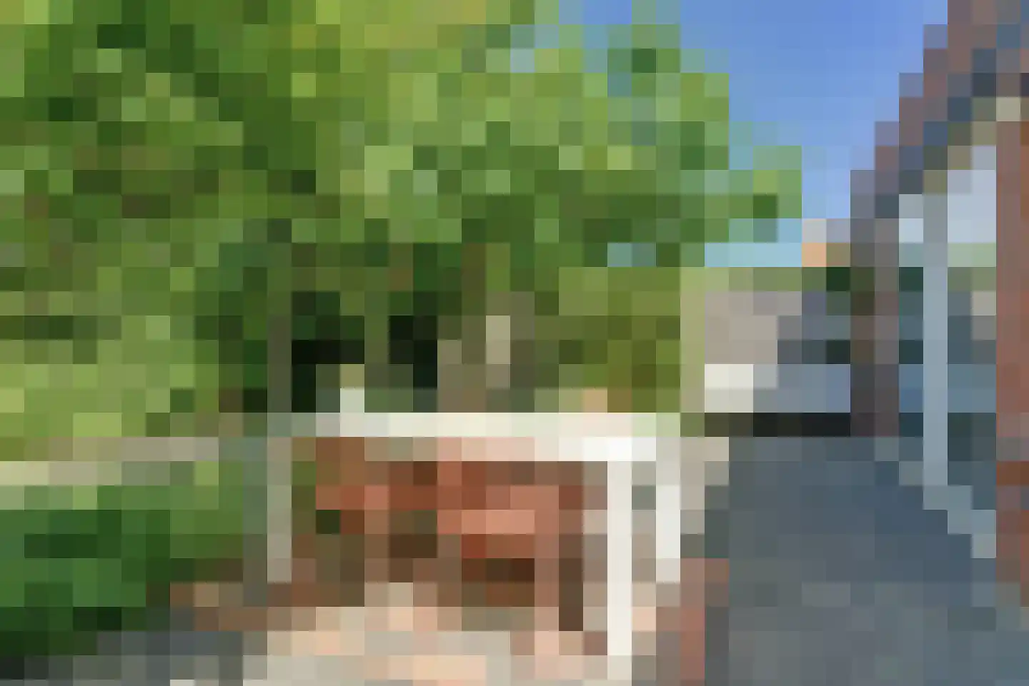 Maagd 39 Elst thumbnail 33
