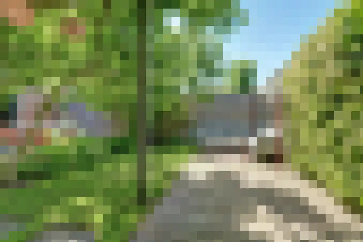 Maagd 39 Elst thumbnail 34