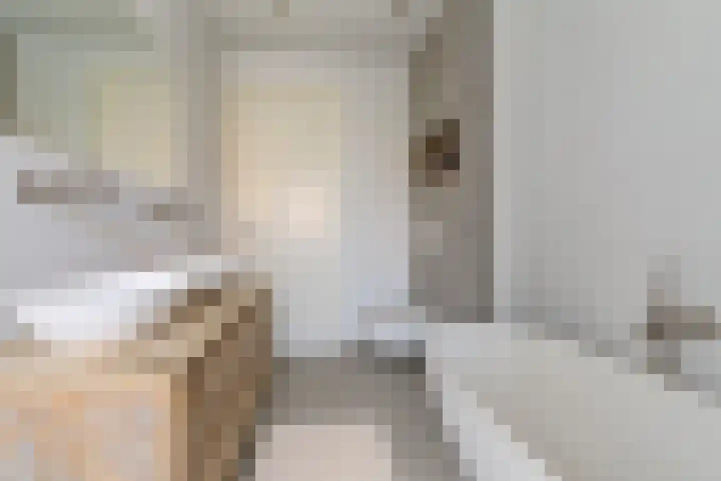Maagd 39 Elst thumbnail 4