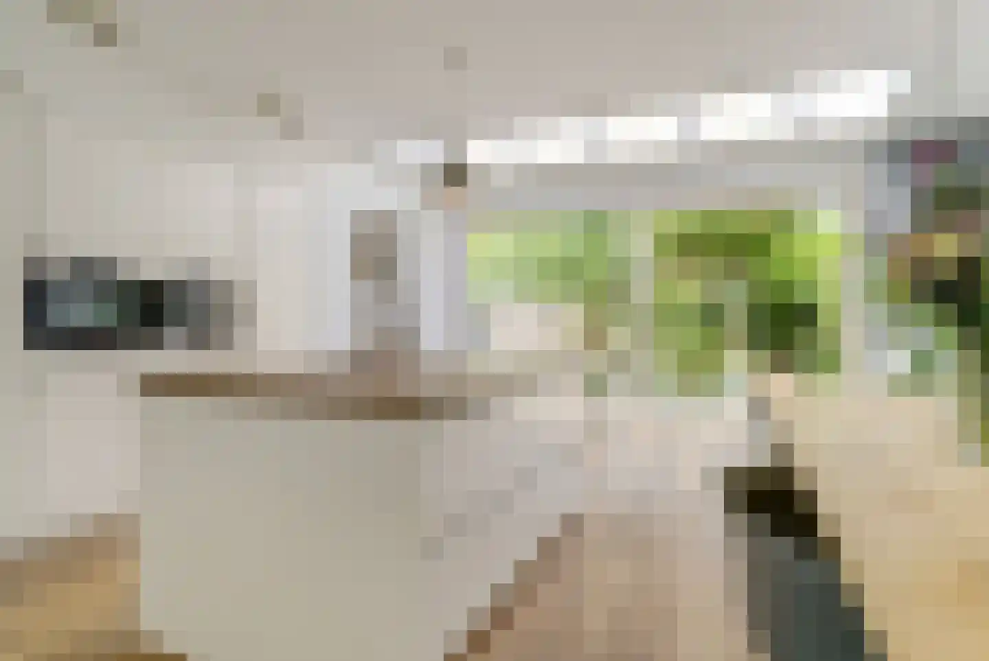 Maagd 39 Elst thumbnail 5