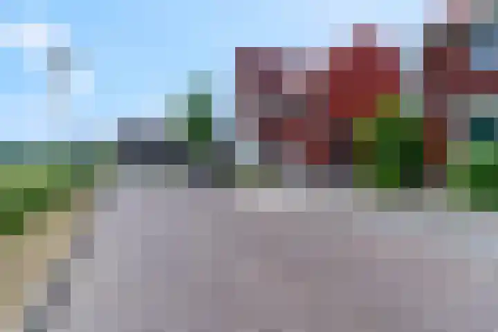 Maagd 5 Elst thumbnail 38