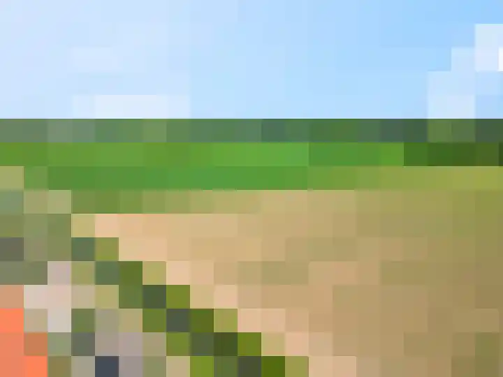 Maagd 5 Elst thumbnail 41