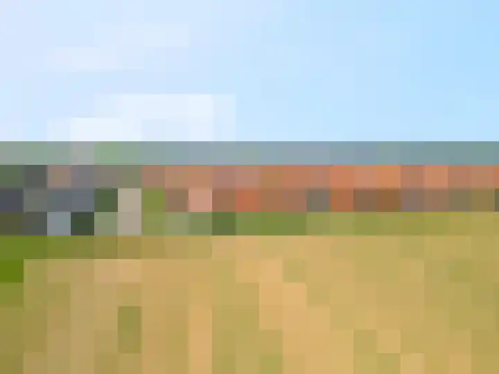 Maagd 5 Elst thumbnail 42