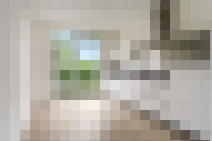 Maagd 5 Elst thumbnail 6