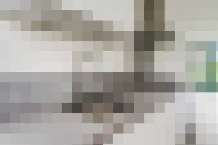 Maagd 5 Elst thumbnail 8