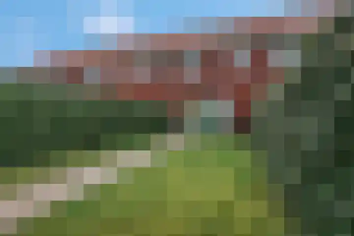 Maagd 7 Elst thumbnail 21