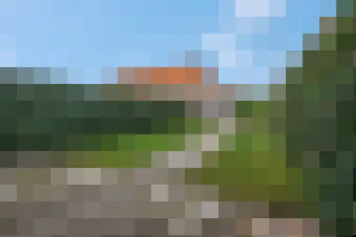 Maagd 7 Elst thumbnail 23