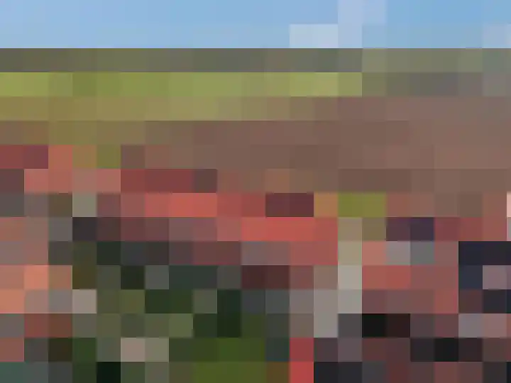Maagd 7 Elst thumbnail 29