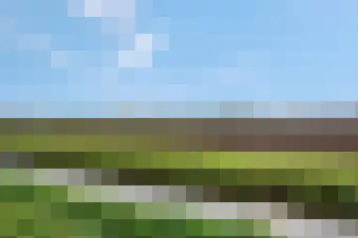 Maagd 7 Elst thumbnail 31