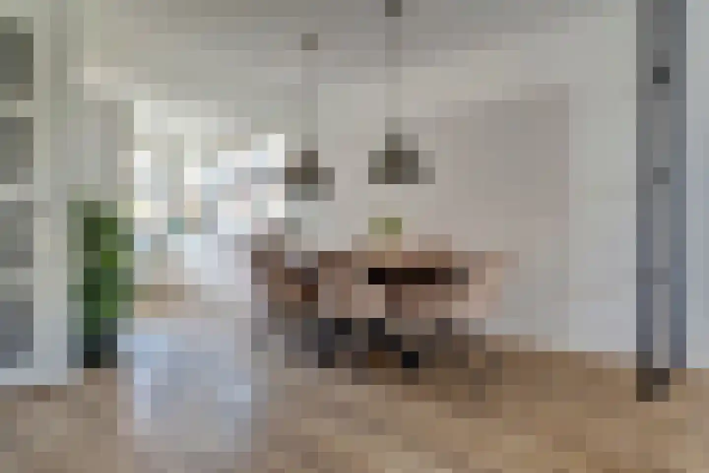 Maagd 8 Elst thumbnail 12