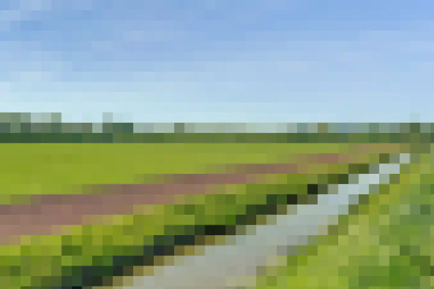 Maagd 8 Elst thumbnail 30