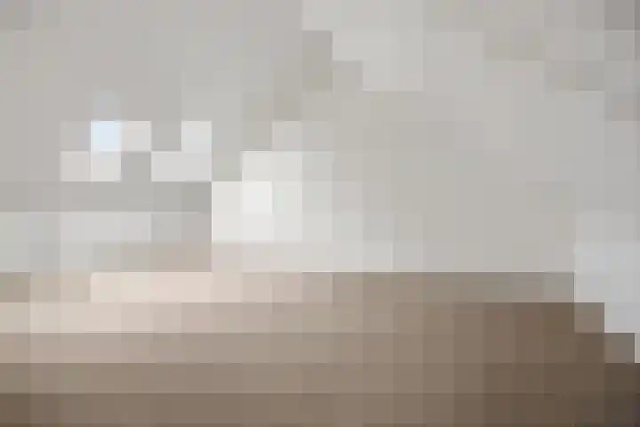 Maagd 9 Elst thumbnail 24