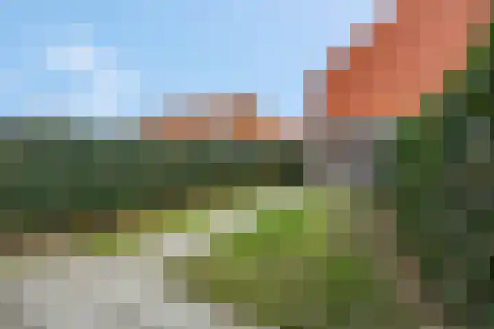 Maagd 9 Elst thumbnail 26