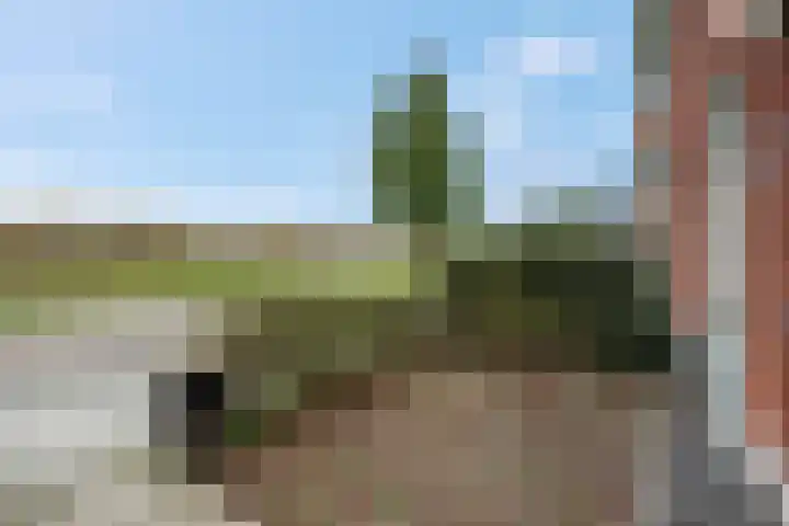 Maagd 9 Elst thumbnail 31