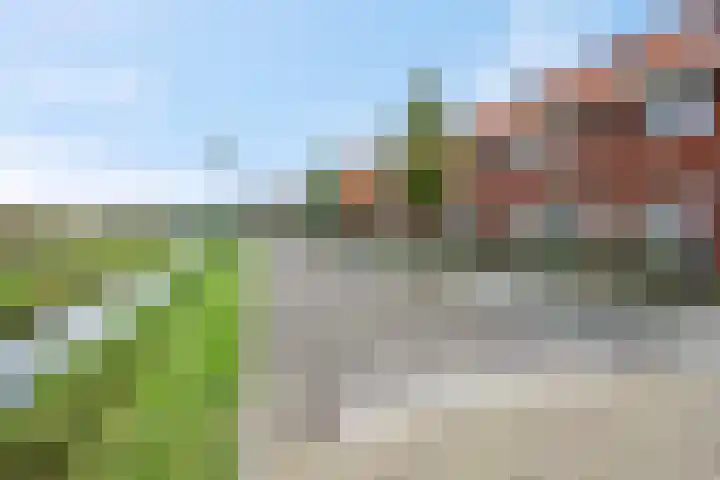 Maagd 9 Elst thumbnail 38