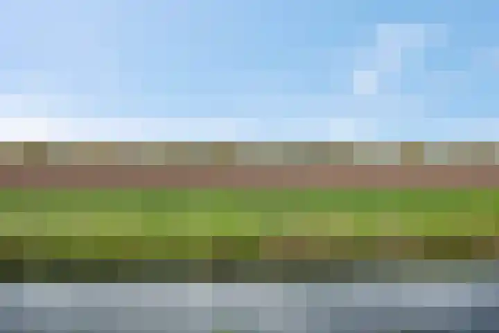 Maagd 9 Elst thumbnail 39