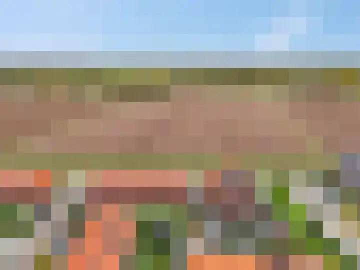 Maagd 9 Elst thumbnail 40