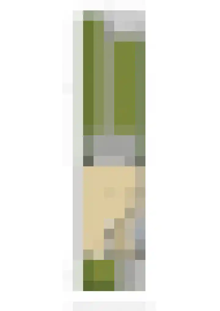 Maagd 9 Elst thumbnail 46