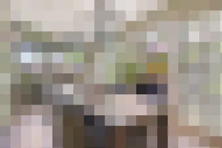 Maagdenbergplein 1 Venlo thumbnail 16