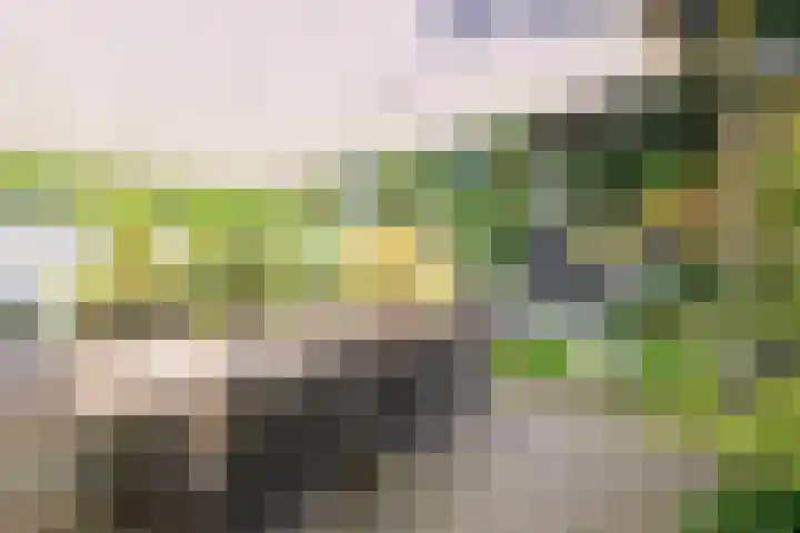 Maagdenbergplein 1 Venlo thumbnail 17