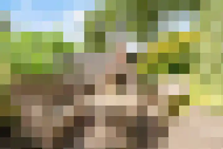Maagdenbergplein 1 Venlo thumbnail 18