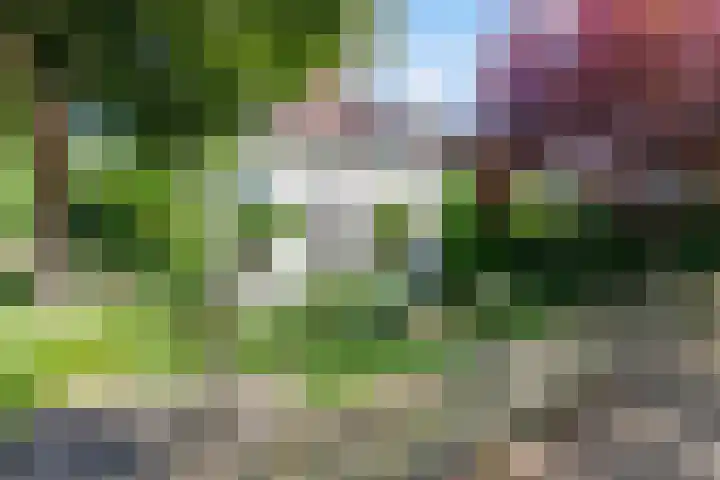 Maagdenbergplein 1 Venlo thumbnail 38