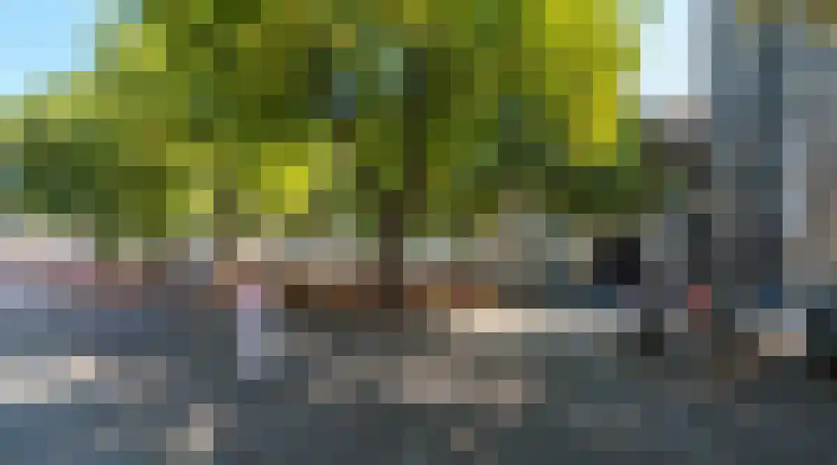 Maagdendries 03 Maastricht thumbnail 6