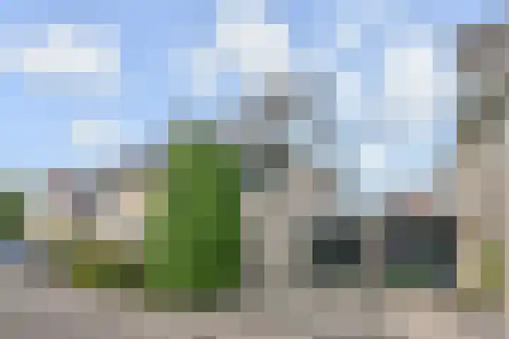 Maagdenpalm 1 a Nootdorp