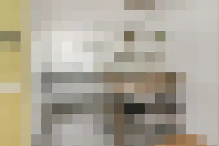 Maagdenpalm 1 a Nootdorp thumbnail 12