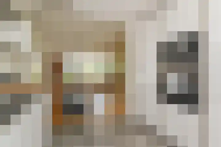 Maagdenpalm 1 a Nootdorp thumbnail 13