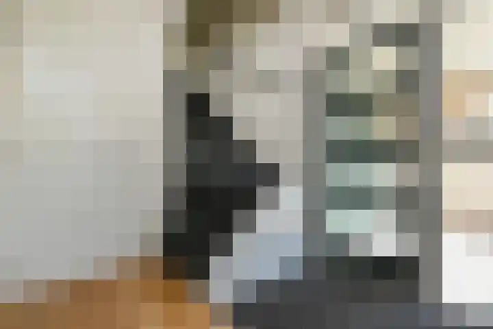 Maagdenpalm 1 a Nootdorp thumbnail 15