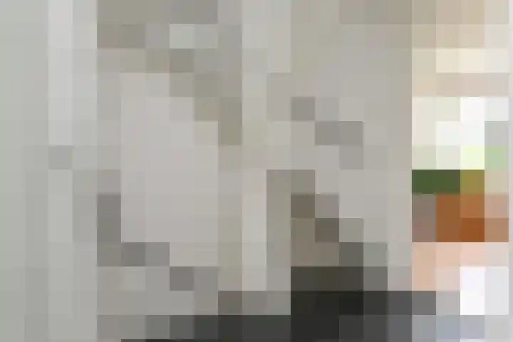 Maagdenpalm 1 a Nootdorp thumbnail 16
