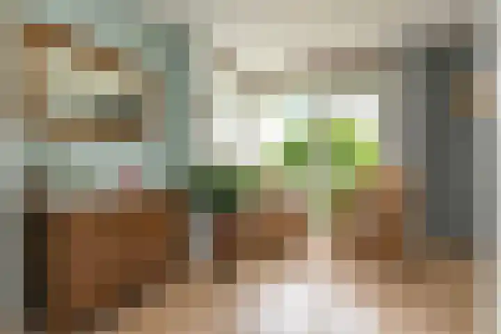 Maagdenpalm 1 a Nootdorp thumbnail 17